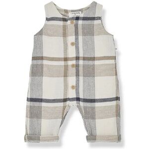 1+ in the family plaid jumpsuit